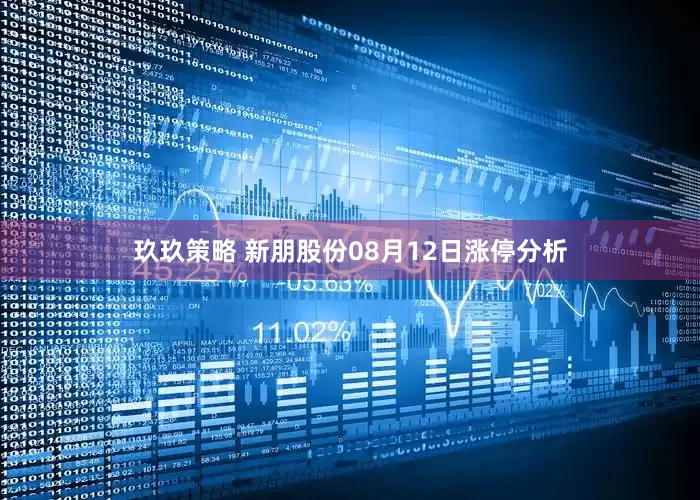 玖玖策略 新朋股份08月12日涨停分析